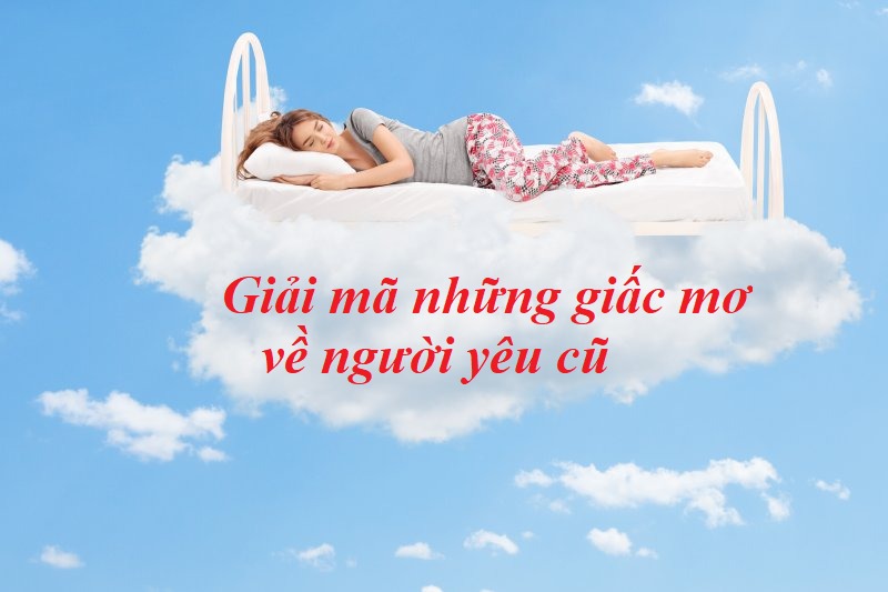 Mơ thấy người yêu cũ đánh con gì, chốt hạ 68 hay 86