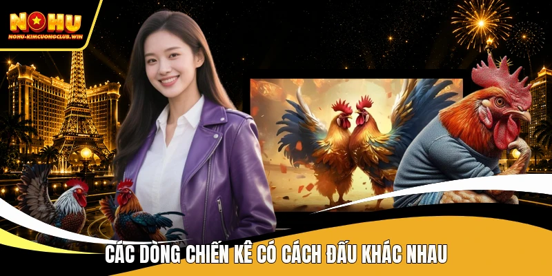 Các dòng chiến kê có cách đấu khác nhau