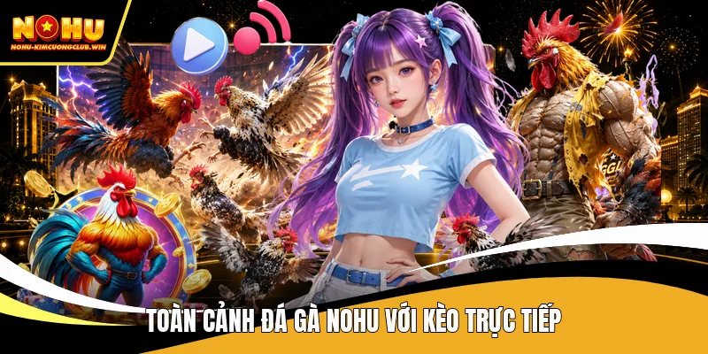 Toàn cảnh đá gà NOHU với kèo trực tiếp